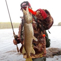 Дмитрий Головин